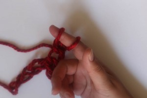 How to Finger Crochet-11