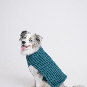 Bleu Dog Sweater