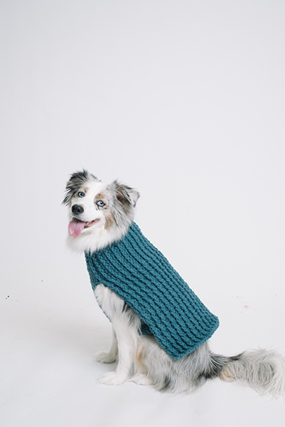 Bleu Dog Sweater